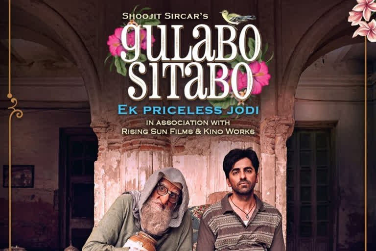 gulabo-sitabo-official-trailer-out-now