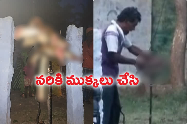 Drunken villager stabbed snake in temple sword - viral video