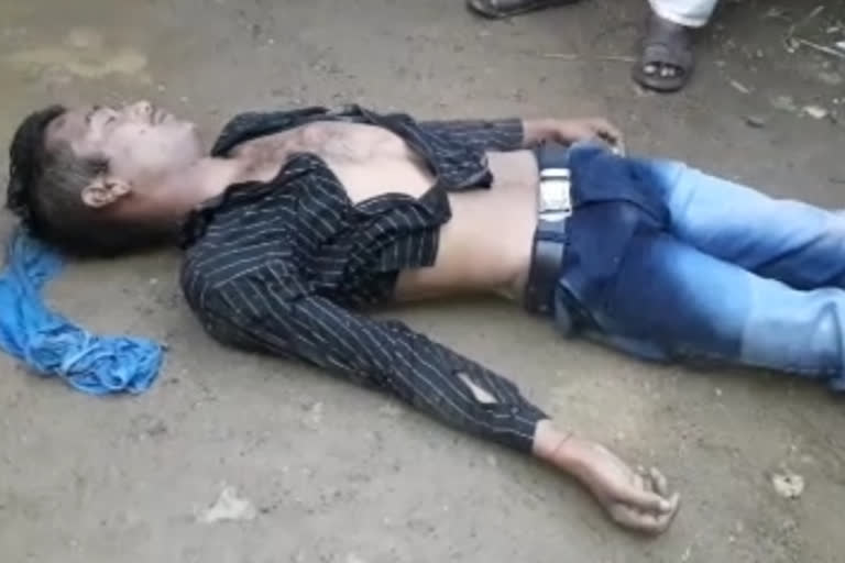 father killed son in a fight in kandi, murshidabad