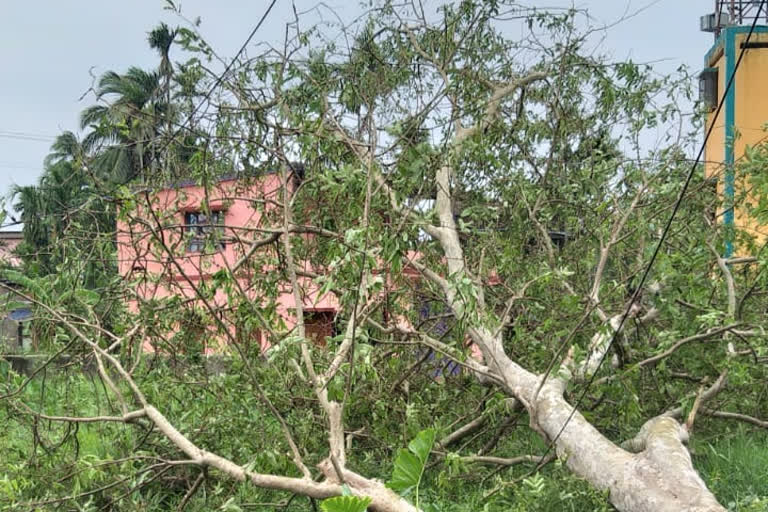 আমফানের প্রকোপে রাজ্যে মৃত্যু বেড়ে হলো ৮৬