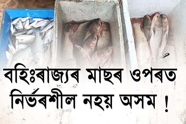 Assam now self sufficient in fish production