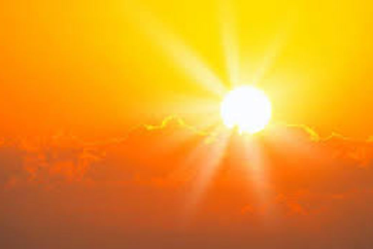 sun stroke deaths in nelore