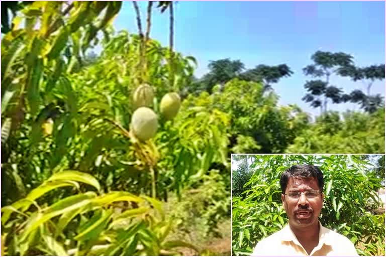 Diploma graduate had success in agriculture