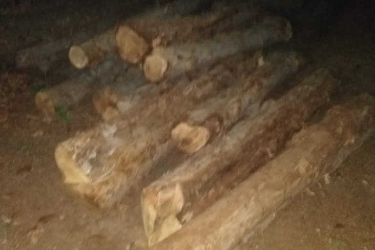 khurdha forest department, seized timber of worth rupees one lakh, ଲକ୍ଷାଧିକ ଟଙ୍କାର ଚୋରା କାଠ ଜବତ, ଖୋର୍ଦ୍ଧା ବନ ବିଭାଗ