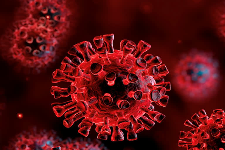 396 new coronavirus cases in Gujarat  27 deaths  ഗുജറാത്ത്  കൊവിഡ് കേസുകൾ  കൊറോണ ഗാന്ധിനഗർ  covid 19 latest news  corona gandhi nagar  corona death india