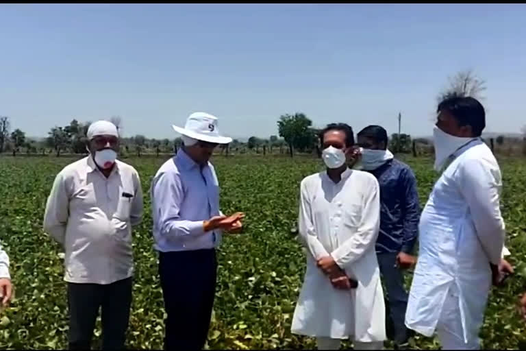 collector visited locust affected areas