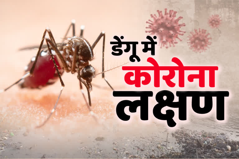 alwar news, corona virus, अलवर न्यूज, कोरोना वायरस