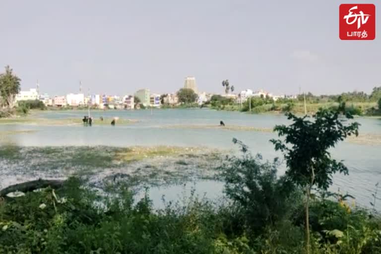 தென்காசி சீவலப்பேரி குளம்