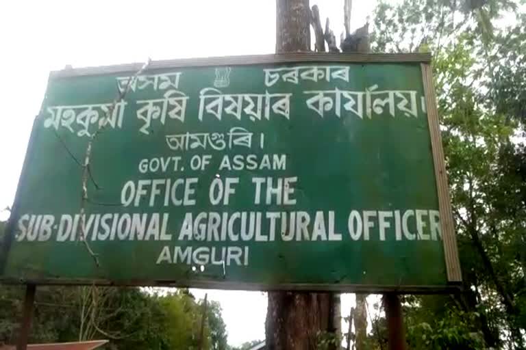 Assam Naba Nirman Sena FIR against Amguri Krishan sanman Nidhi sacam