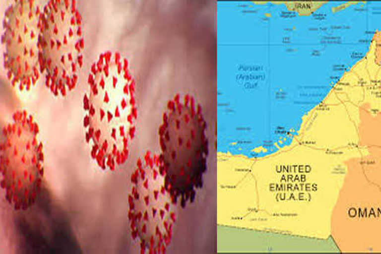 یو اے ای میں کورونا کے 812 نئے کیسز، متاثرین کی تعداد 28704 ہوئی