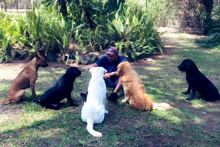 Ravi Shastri's "Social Distancing Huddle" With Dogs