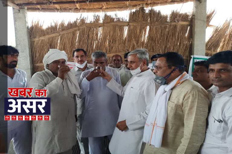 tomato farmers end strike after assurance from agriculture minister jp dalal in bhiwana