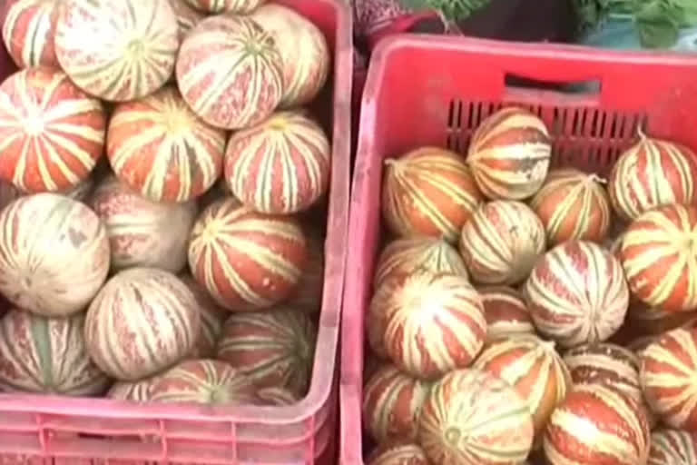 खरबूज-तरबूज की नहीं हो रही बिक्री, Melon-watermelon is not being sold