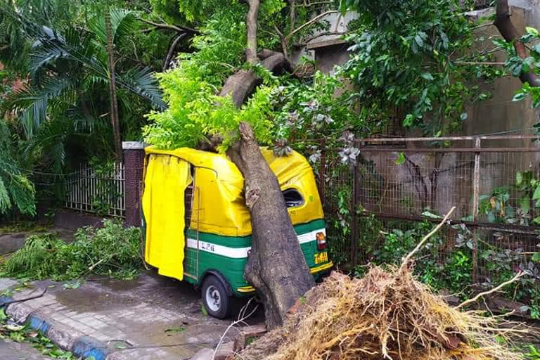 Protests continue in cyclone Amphan-hit Kolkata amid water, power crisis