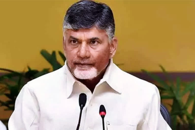 tdp chief chandrababunaidu