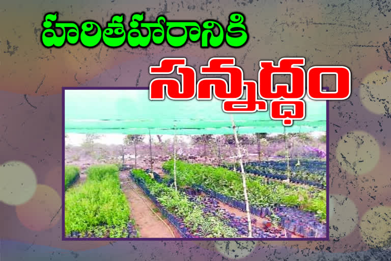 kamareddy-district-ready-for-harithaharam-program