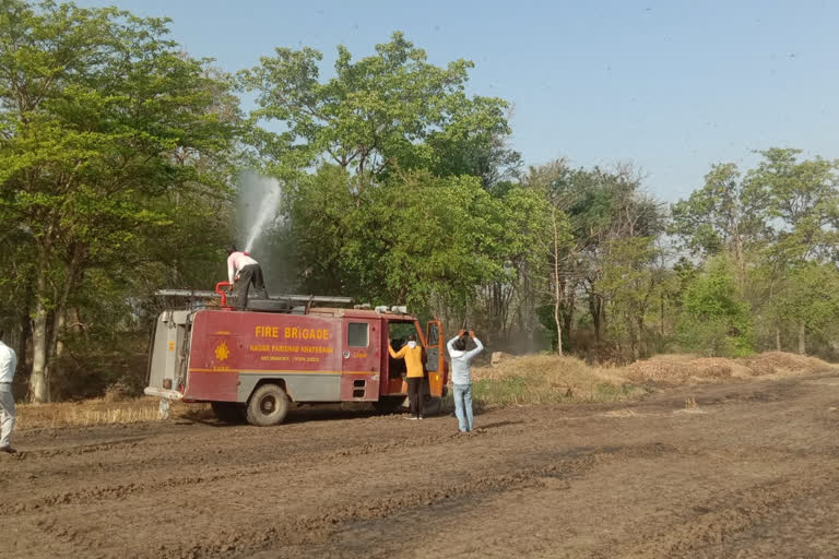 Administration sprayed insecticide with fire brigade to remove Grasshopper