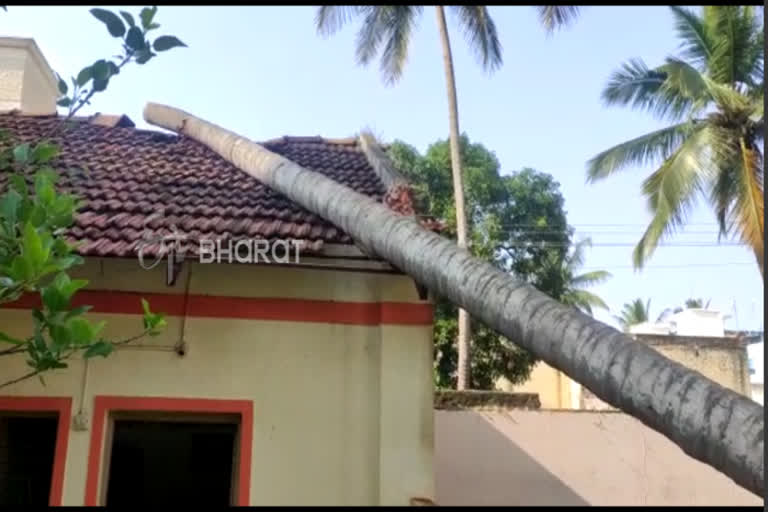 heavy rain in hassan , ಹಾಸನದಲ್ಲಿ ಮಳೆಗಾಳಿ