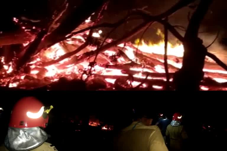 kannur mudikkayam forest news wild fire kannur news മുടിക്കയം വനത്തില്‍ തീപിടിത്തം കണ്ണൂര്‍ മുടിക്കയം വനം കേരള-കര്‍ണാടക അതിര്‍ത്തി തീപിടിത്തം ഇരിട്ടി അഗ്‌നിശമന സേന