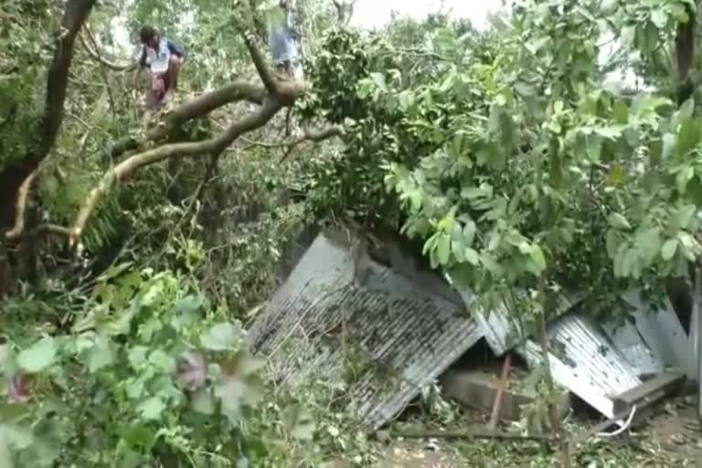 cyclones and west bengal