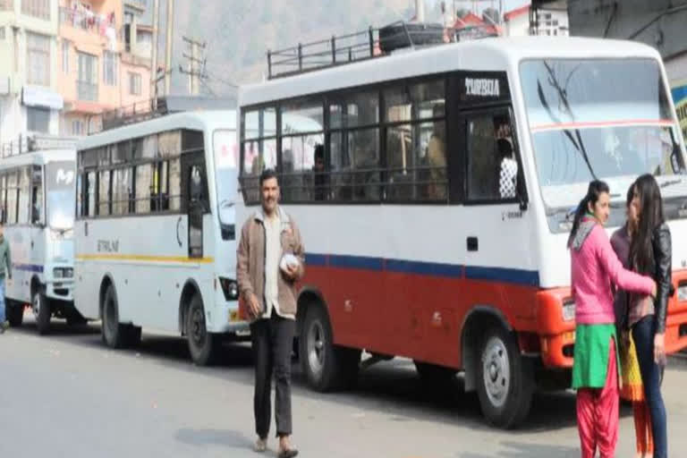 shimla bus