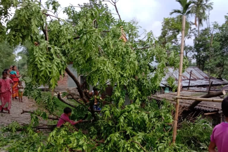 jalpaiguri malbazar destroted in a few minutes storm today