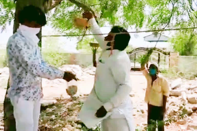 घर पर रहकर पढ़ी नमाज, बाड़मेर न्यूज, Barmer News, Eid-ul-Fitr Prayer at home