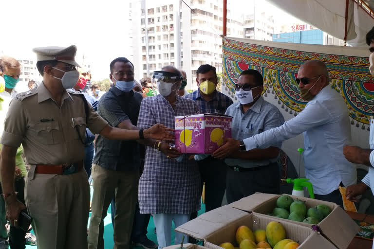 Navsari APMC launches mango market