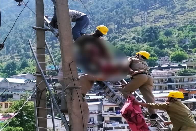 youth dies due to current in Kullu