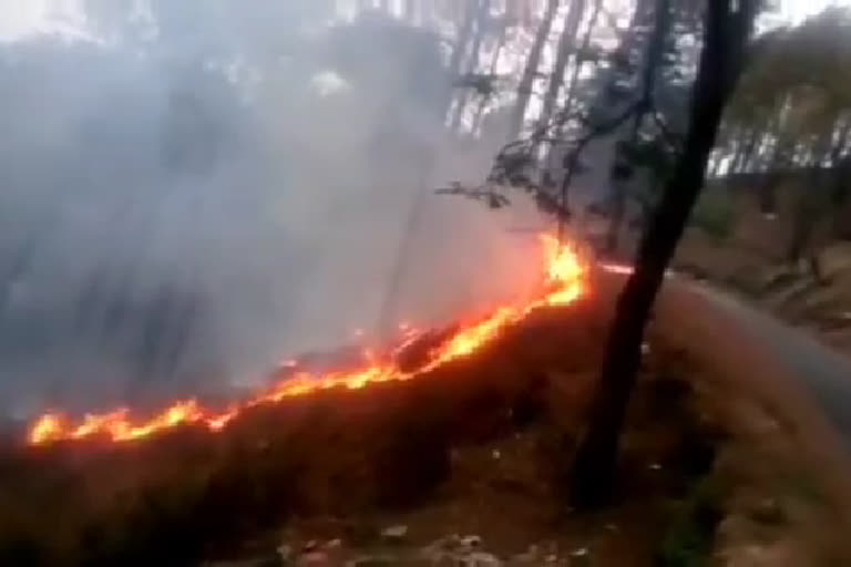 fire caught in Kuh Majhwar forest of bilaspur