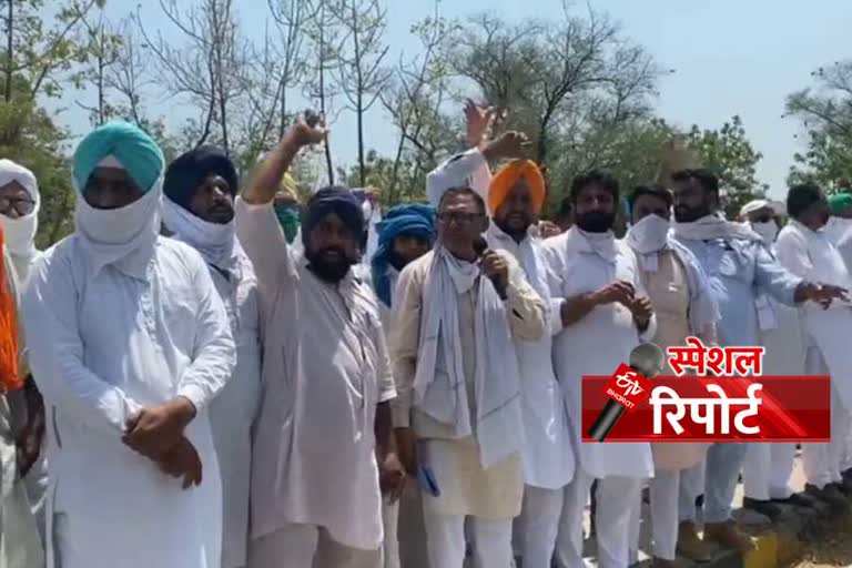 haryana farmers protest