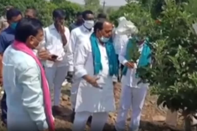 Minister Indrakaran Reddu Visits Apple Farm