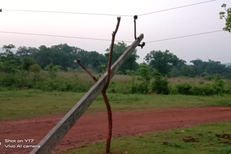 Nesco Company's Critical Policy, Wood poles in the hope of Electricity poles