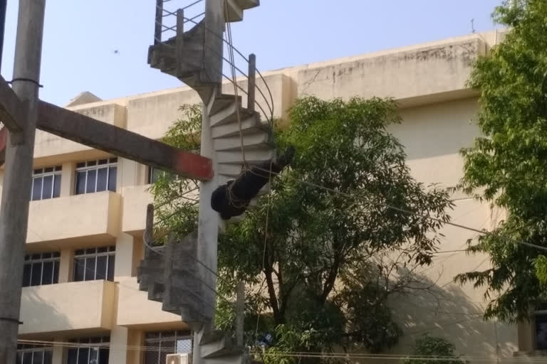 student suicided in water tank