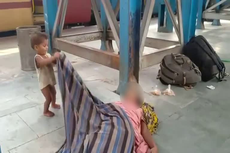 Bihar  Shramik Special train  migrant woman four-year-old die  on board  Muzaffarpur Shramik Special train  Ahemadabad  ബിഹാറില്‍ ശ്രമിക് ട്രെയിനില്‍ യാത്ര ചെയ്‌ത നാല് വയസുകാരനും യുവതിയും മരിച്ച നിലയില്‍  ബിഹാര്‍