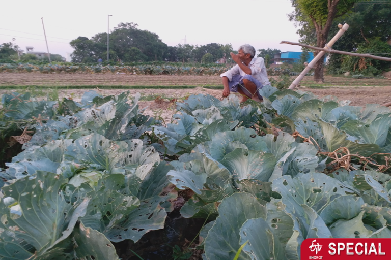 farmers are not getting profit