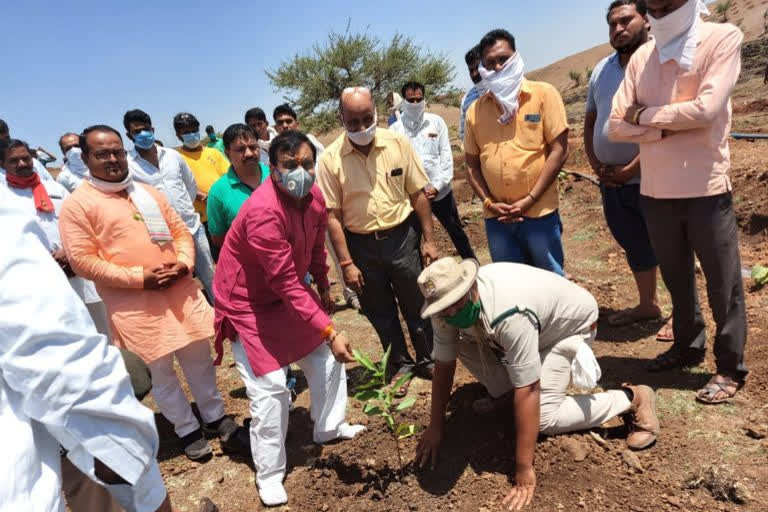 MP  Guman Singh Damore launched Green India Mission in Jhabua