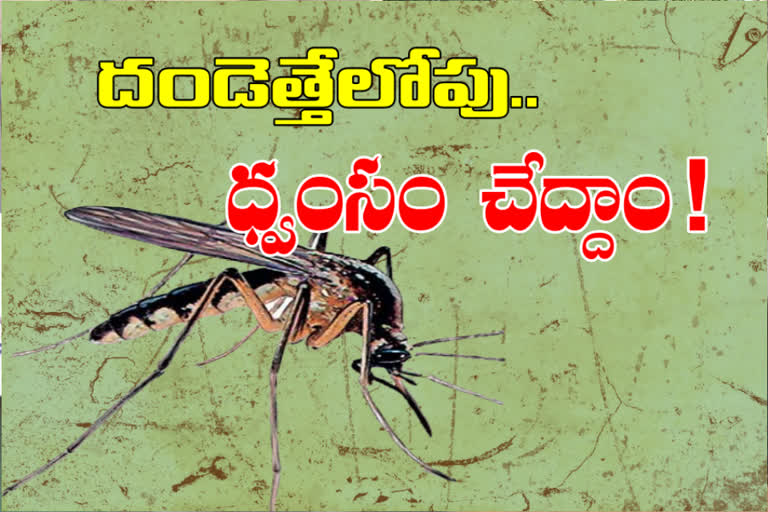 mosquito problems along with corona virus