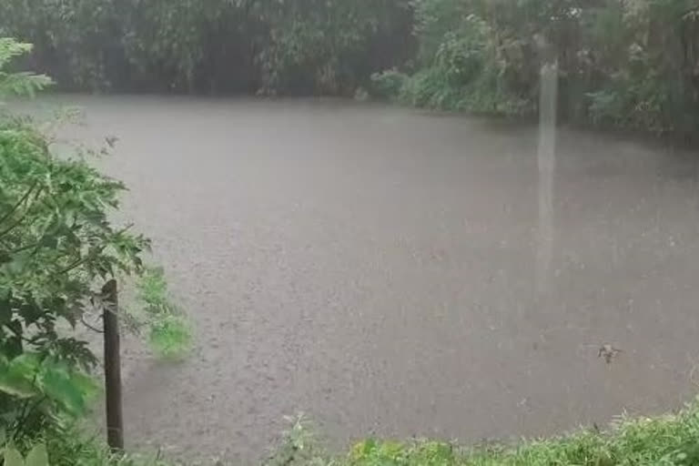 Heavy downpour wreaks havoc in Meghalaya