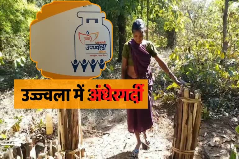 status of ujjwala scheme in rural areas of raigarh