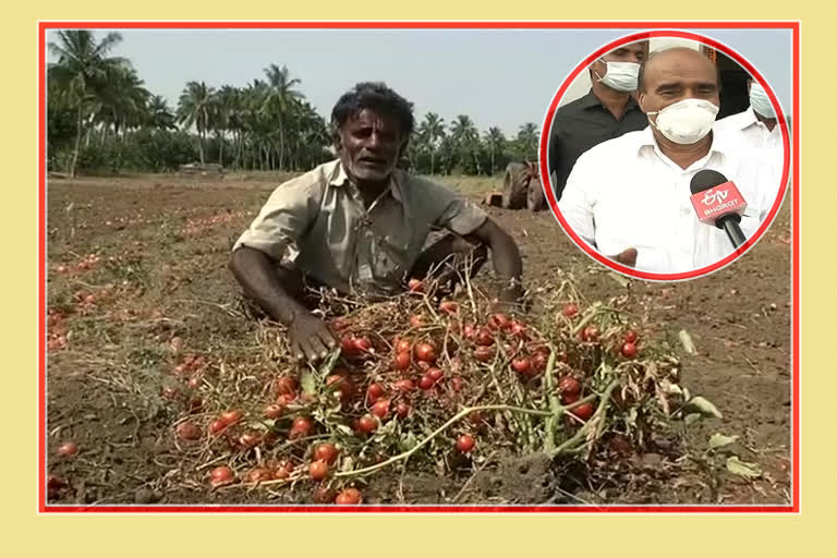 chittor-mp-reddappa-comments-on-tomato-farmers