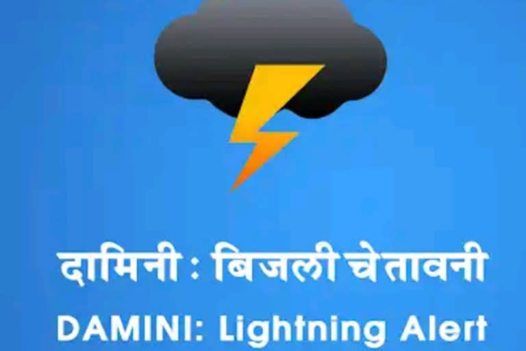 Damini app