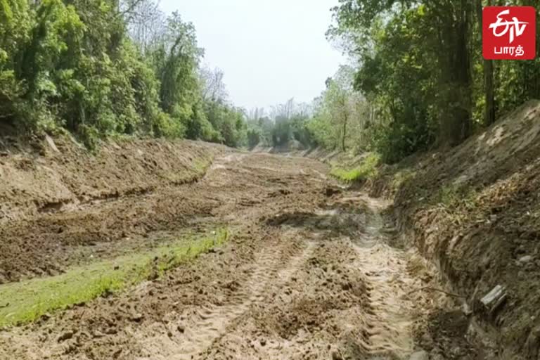 முறையாக தூர்வாராமல் இருக்கும் காவிரி