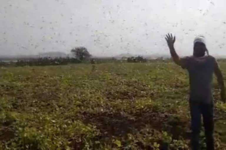 farmers in amravati