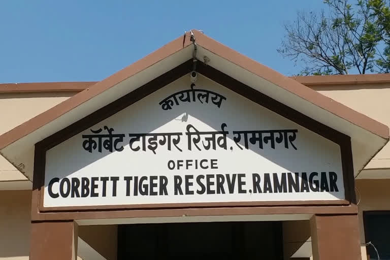 कॉर्बेट नेशनल पार्क लॉकडाउन न्यूज ,  Corbett National Park in lockdown news