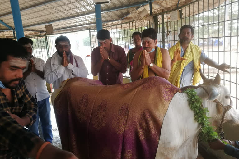 special puja at eastgodavari krishna temple in lockdown time