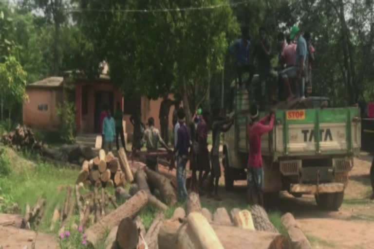 Millions of rupees worth of stolen timber were seized in Kendujhar district