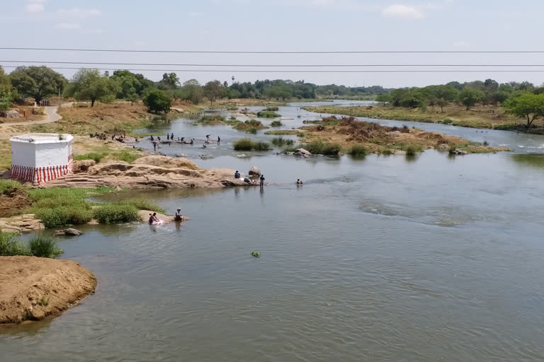 thamirabarani river