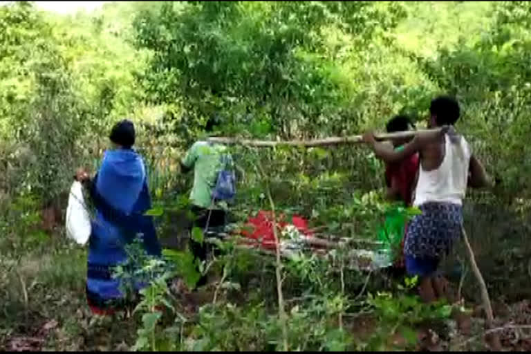 pregnant woman carried on cot in rayagada