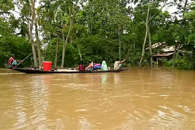 Assam flood situation